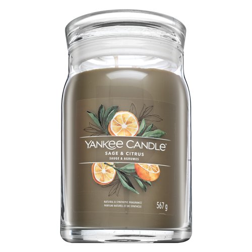 Yankee Candle Signature Sage & Citrus Kvepianti žvakė Unisex