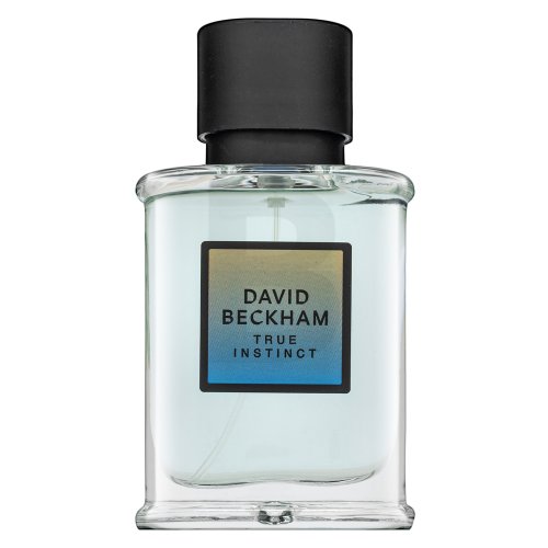 David Beckham True Instinct 75ml kvepalai Vyrams EDP