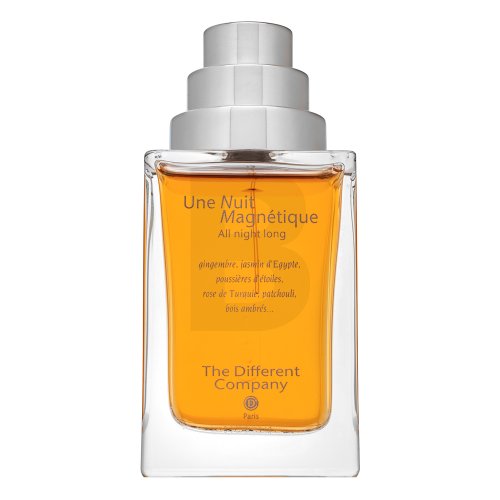 The Different Company The Different Company Une Nuit Magnetique EDP - Refill U 100 ml NIŠINIAI Kvepalai The Different Company The Different Company Une Nuit Magnetique EDP - Refill U 100 ml NIŠINIAI Kvepalai