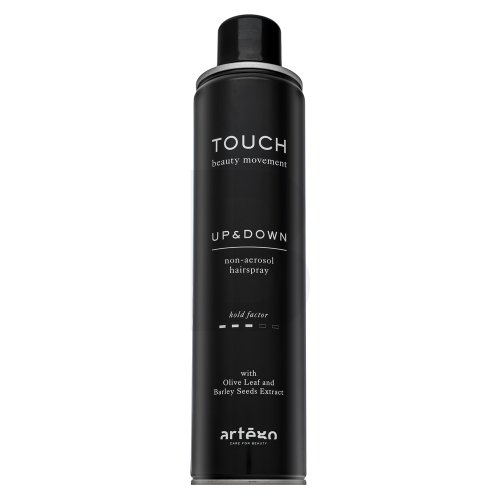Art&egrave;go Touch Up and Down Non-Aerosol Hairspray Plaukų priemonė