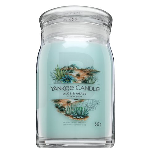 Yankee Candle Yankee Candle Aloe & Agave 567 g namų kvapas
