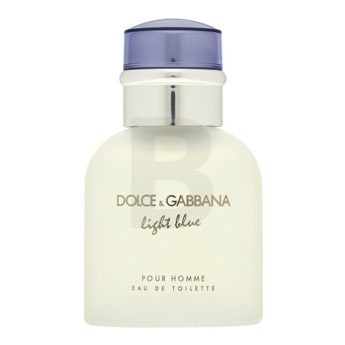 Dolce & Gabbana Light Blue Pour Homme EDT M 125 ml 125 Kvepalai