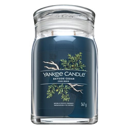 Yankee Candle Yankee Candle Bayside Cedar 567 g namų kvapas