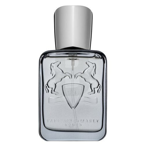 Parfums de marly Castley Eau De Parfum Kvepalai Vyrams