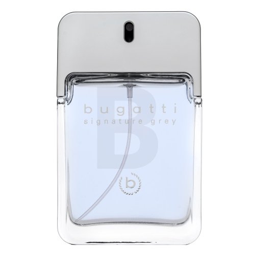 Bugatti Bugatti Signature Grey EDT M 100 ml Kvepalai Bugatti Bugatti Signature Grey EDT M 100 ml Kvepalai