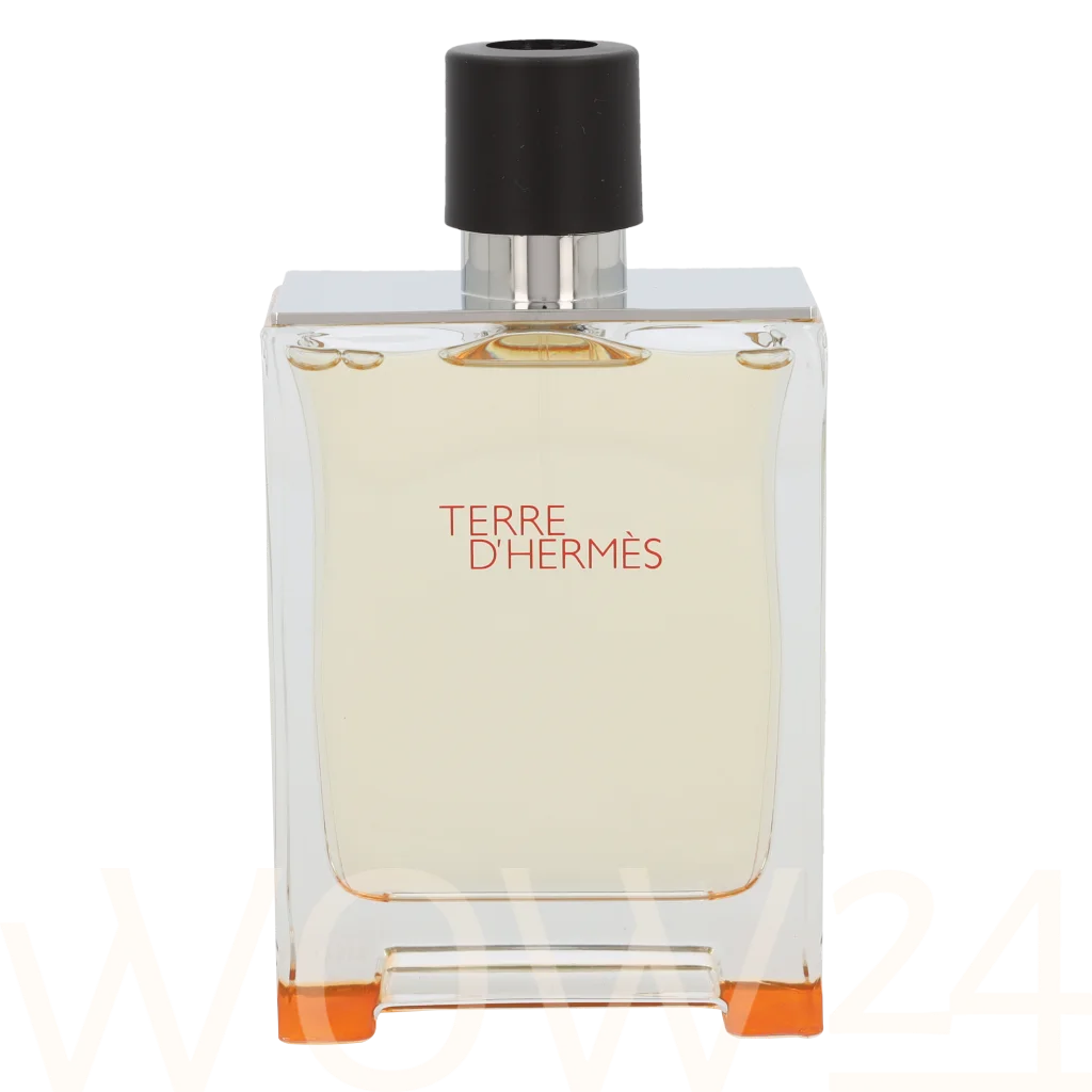 Hermes Hermes Terre D'Hermes Edt Spray 200 ml kvepalai Vyrams EDT