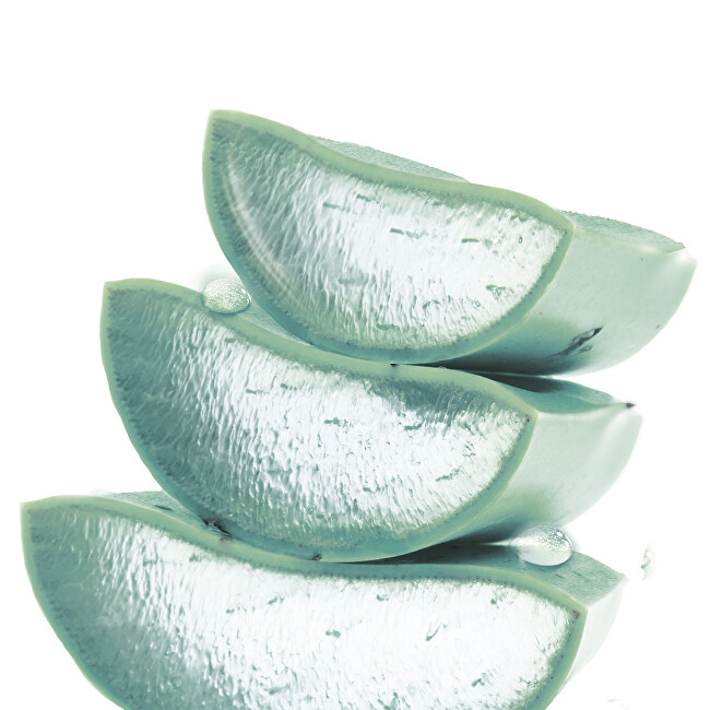 Garnier Hydrating night skin gel Hyaluronic Aloe Jelly (Night Moisturizing Jelly) 50 ml 50ml Moterims