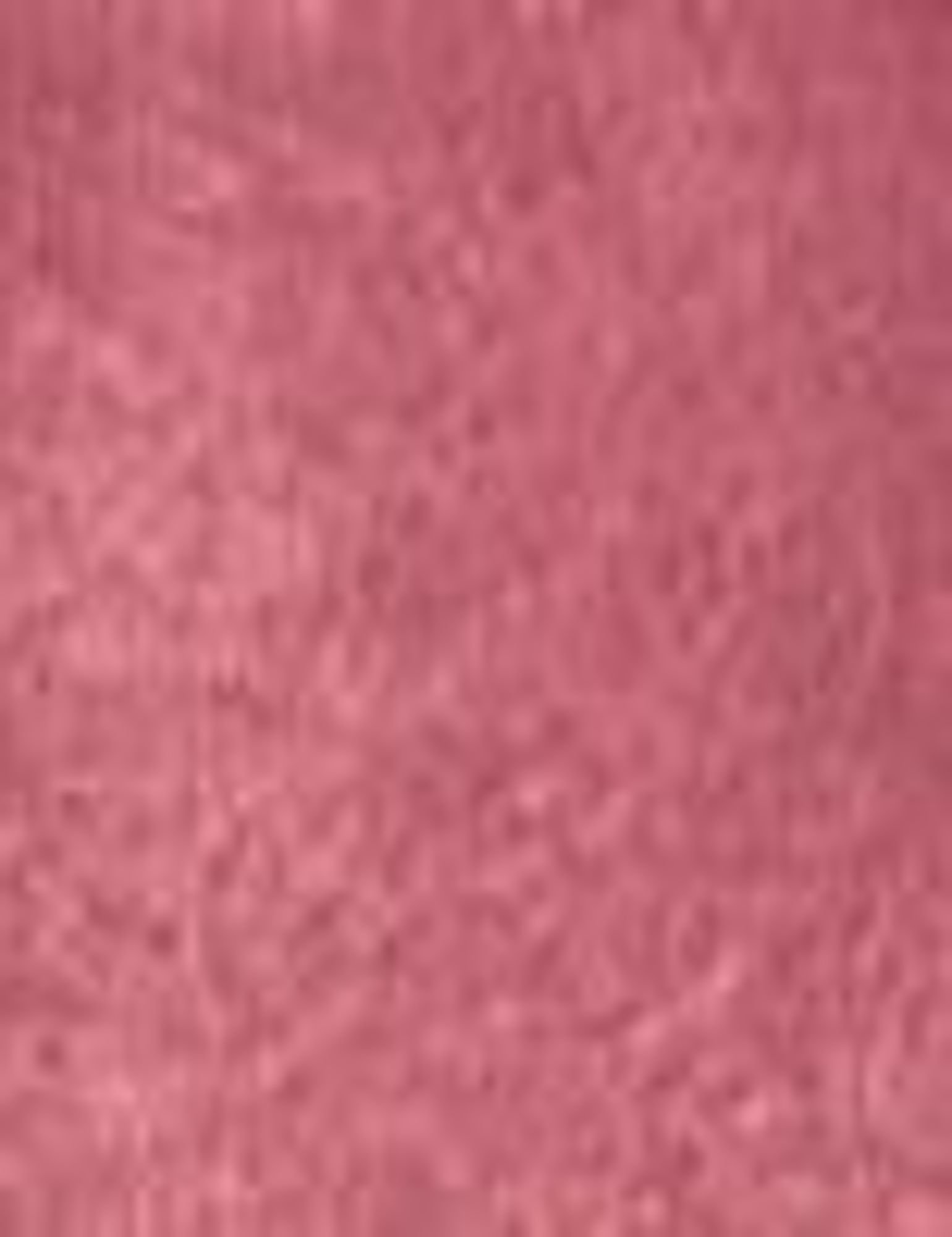 BOURJOIS Paris Little Round Pot 2,5g skaistalai