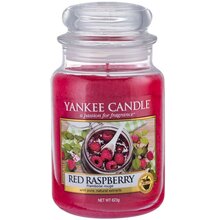 Yankee Candle Red Rapsberry 104.0g sveikatos apsaugai