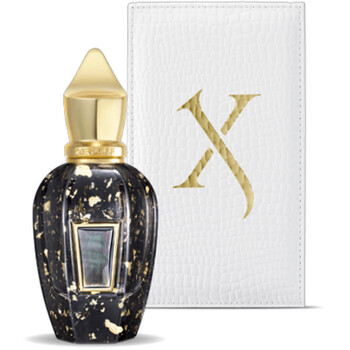 Xerjoff XJ 17/17 Homme Anniversary Parfum Kvepalai Vyrams