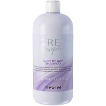 Inebrya GREYlosophy Grey By Day Shampoo Plaukų &scaron;ampūnas Unisex