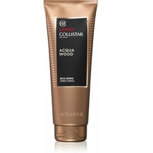 Collistar Acqua Wood Shower Gel (Shower Shampoo) Vonios ir du&scaron;o priemonė Vyrams