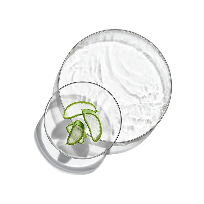 Garnier Hydrating night skin gel Hyaluronic Aloe Jelly (Night Moisturizing Jelly) 50 ml 50ml Moterims