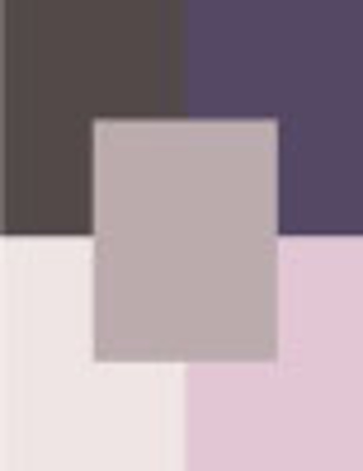 Esteé Lauder Pure Color 5-Color Palette 7g šešėliai