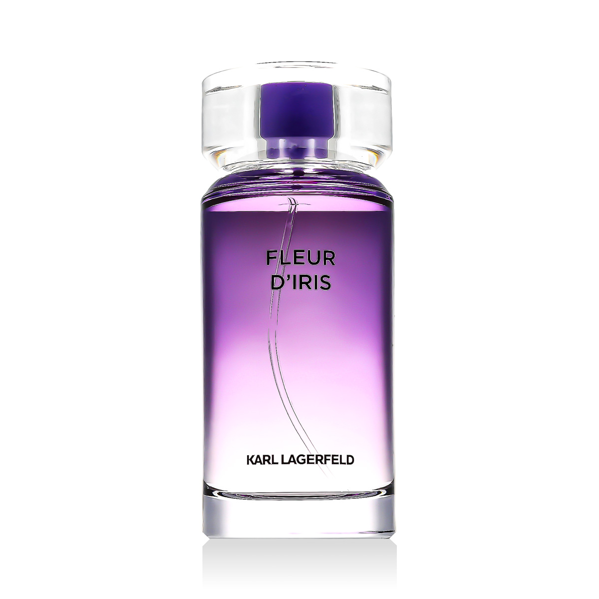 Karl Lagerfeld Fleur D'Iris 100ml kvepalai Moterims EDP