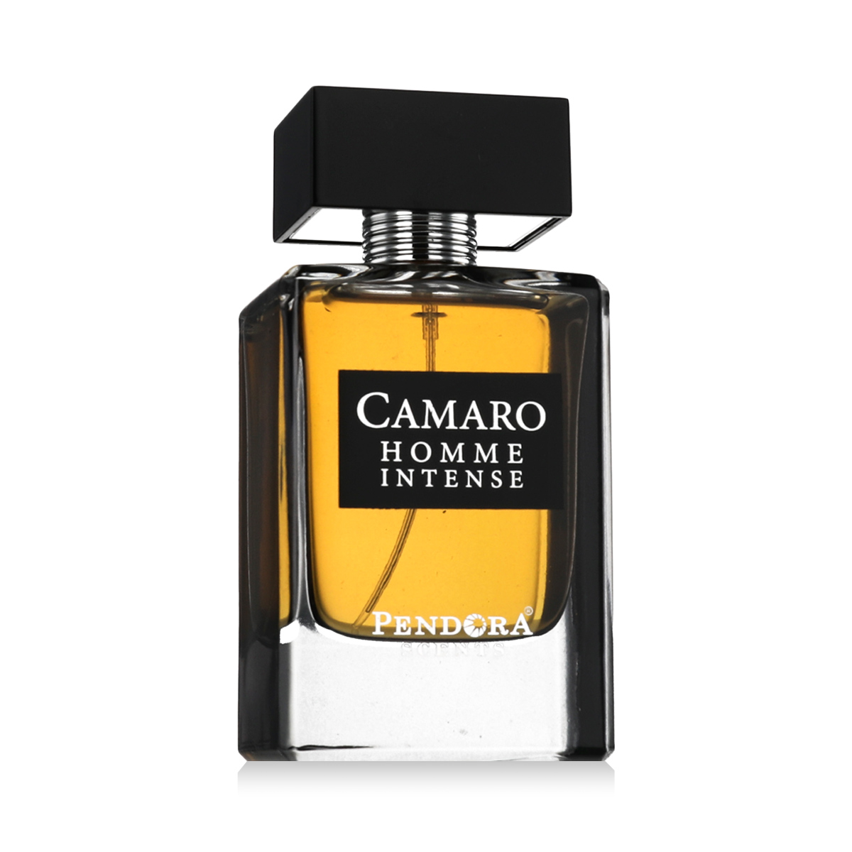 Pendora Scents Camaro Homme Intense 100ml kvepalai Unisex EDP