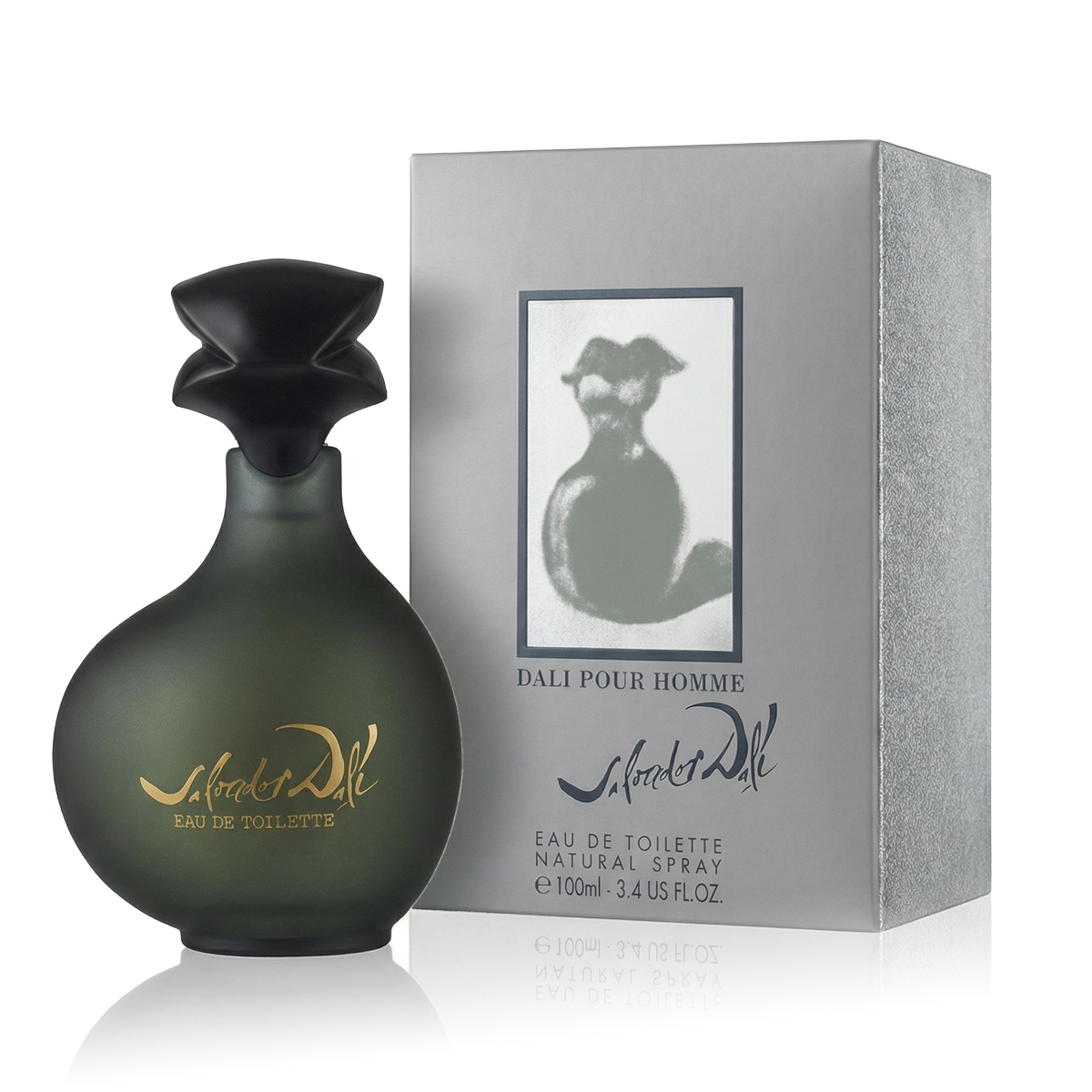 Salvador Dali Pour Homme 100ml kvepalai Vyrams EDT