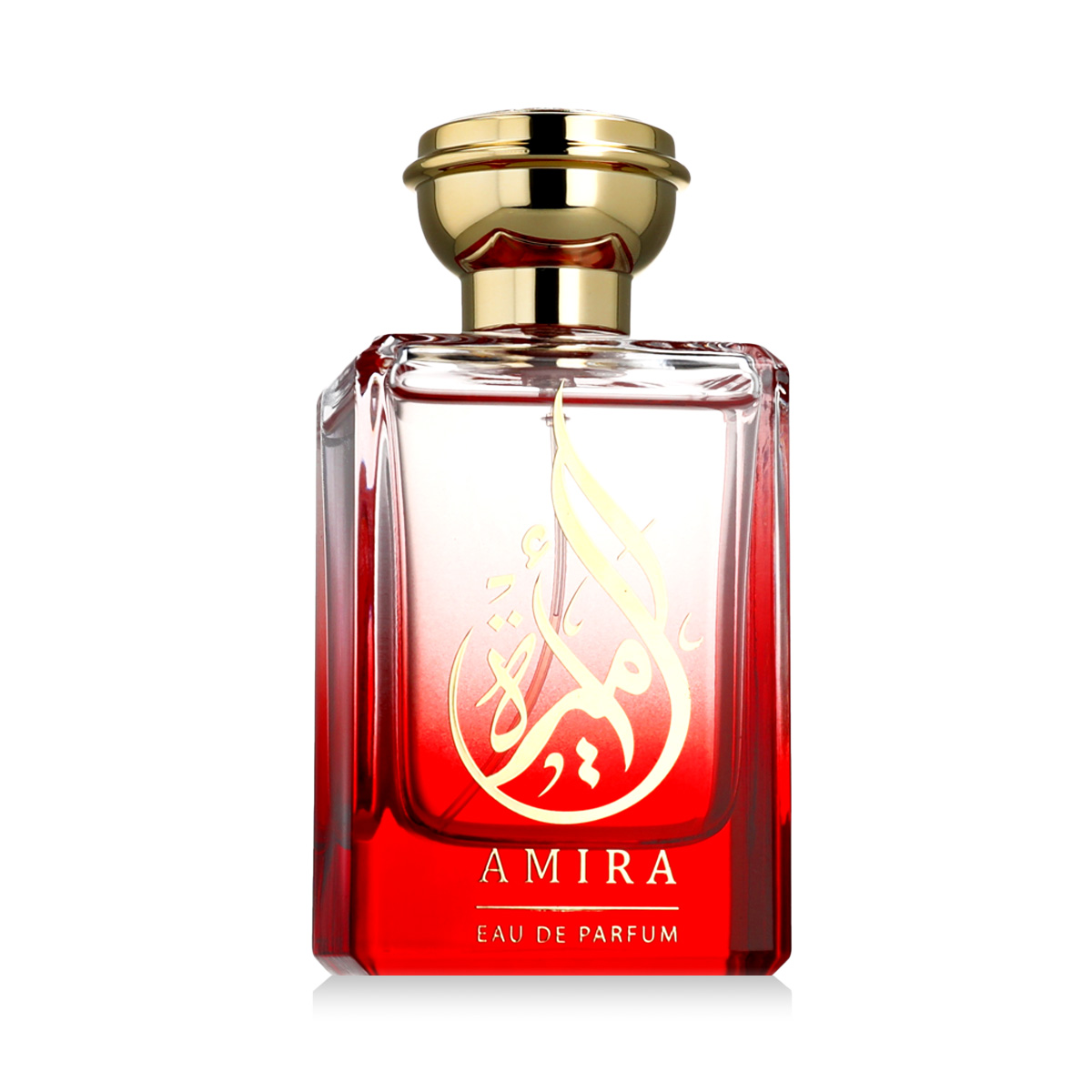 New Brand Oriental New Brand Oriental Amira Eau De Parfum 100 ml (woman) 100ml kvepalai Moterims EDP