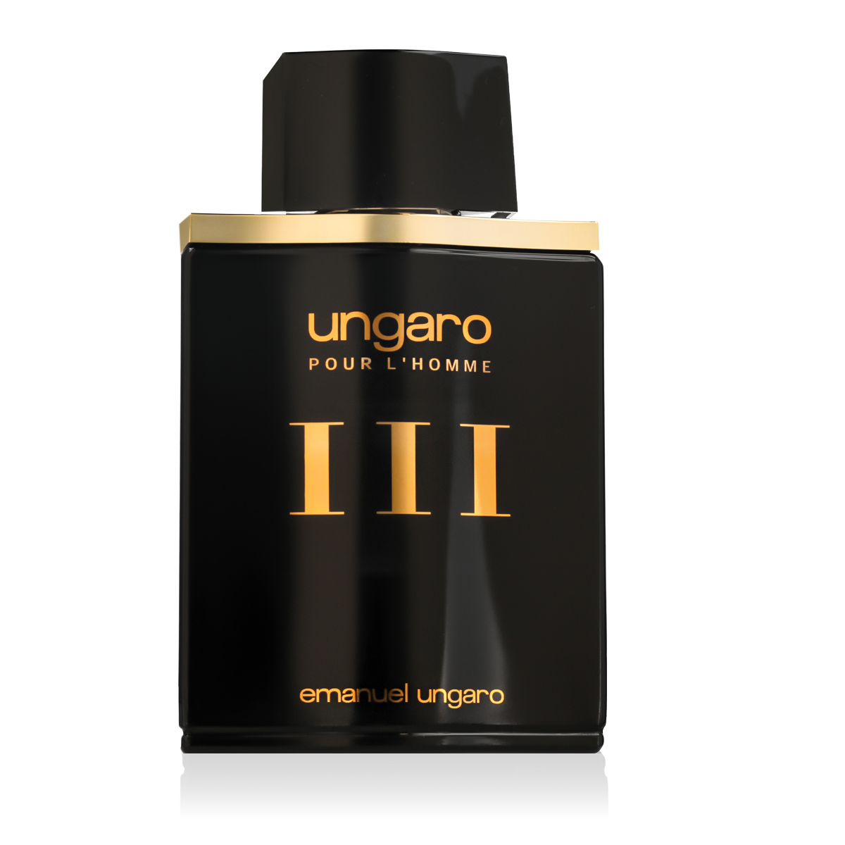 Ungaro Emanuel Pour L'Homme III 100ml kvepalai Vyrams EDT