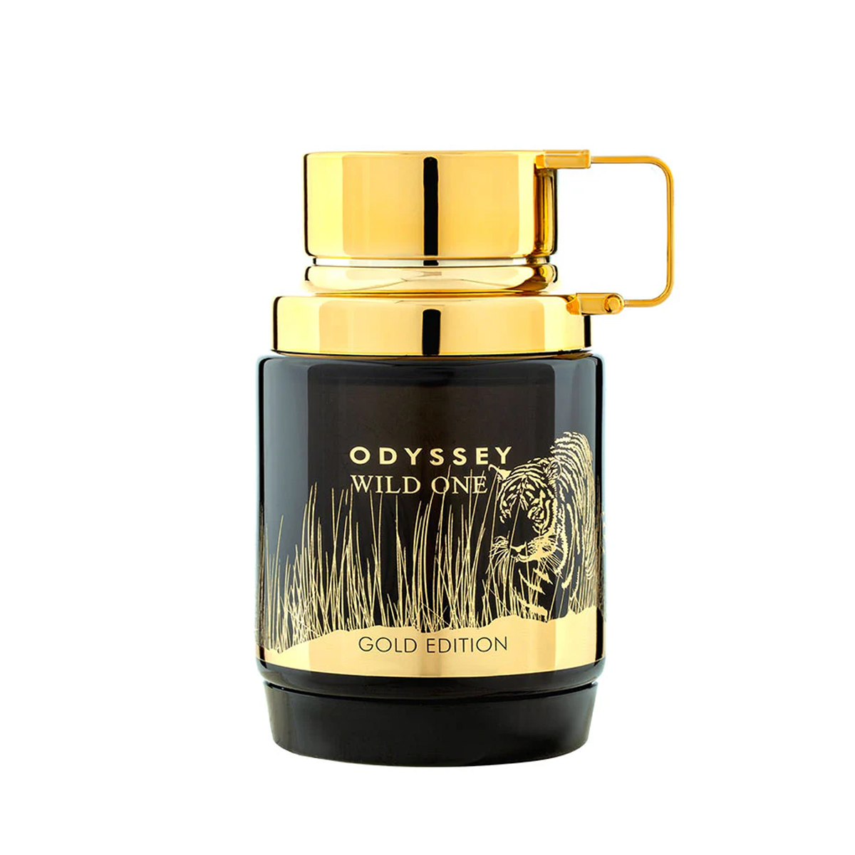 Armaf Odyssey Wild One 100ml kvepalai Vyrams EDP