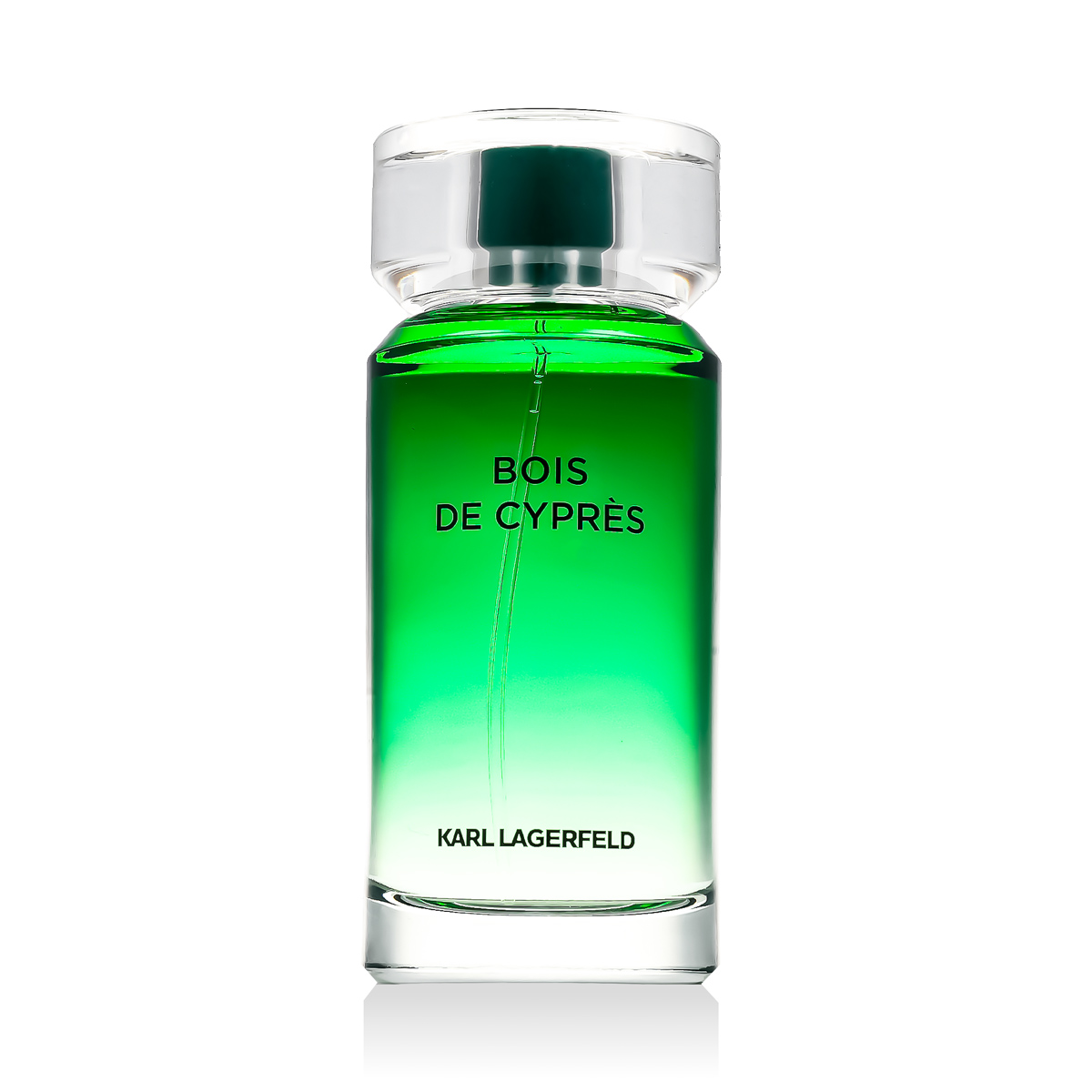 Karl Lagerfeld Bois de Cypr&egrave;s 100ml kvepalai Vyrams EDT