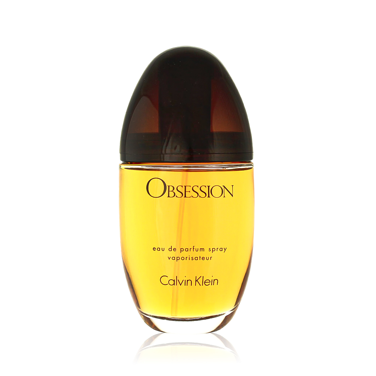 Calvin Klein Obsession Eau De Parfum 100 ml