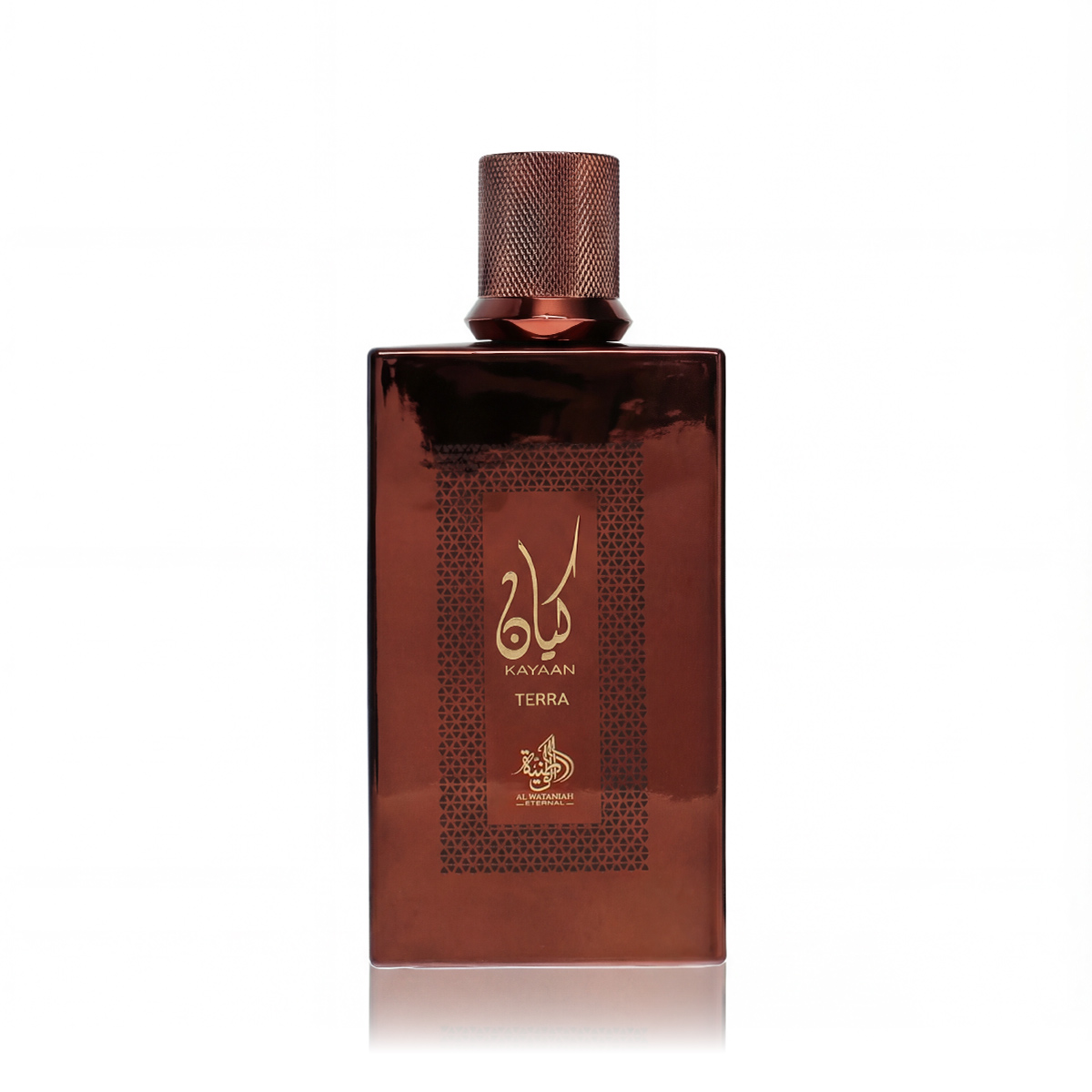 Al Wataniah Kayaan Terra 100ml kvepalai Unisex EDP