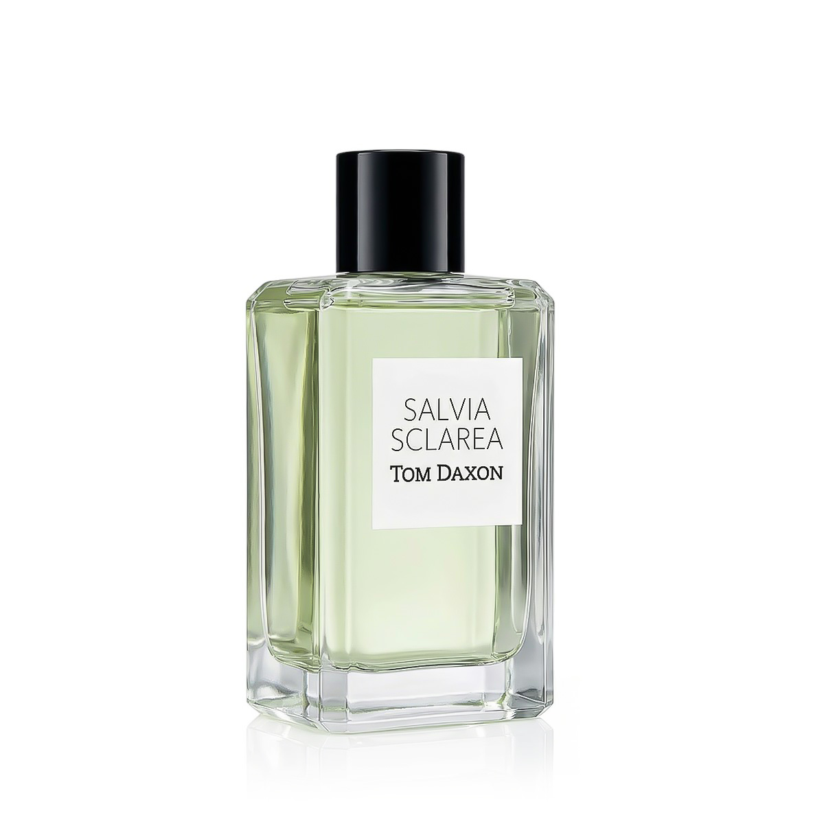 Tom Daxon Salvia Sclarea 100ml kvepalai Unisex EDP