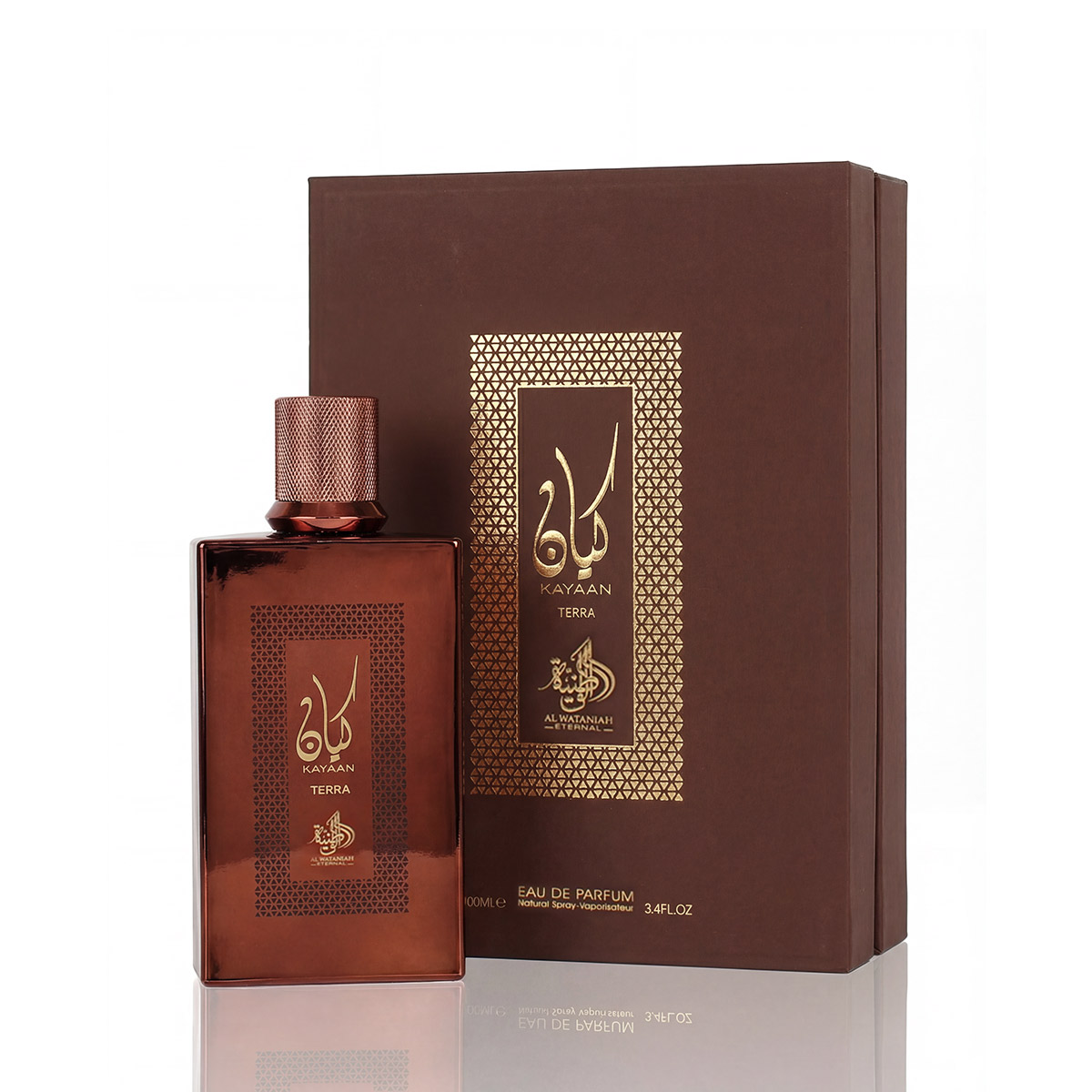 Al Wataniah Kayaan Terra 100ml kvepalai Unisex EDP