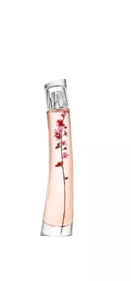 Flower By Kenzo Ikebana