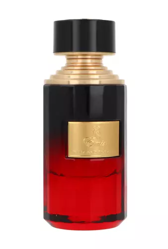 Paris Corner Emir Wild And Tobacco 75ml kvepalai Unisex EDP