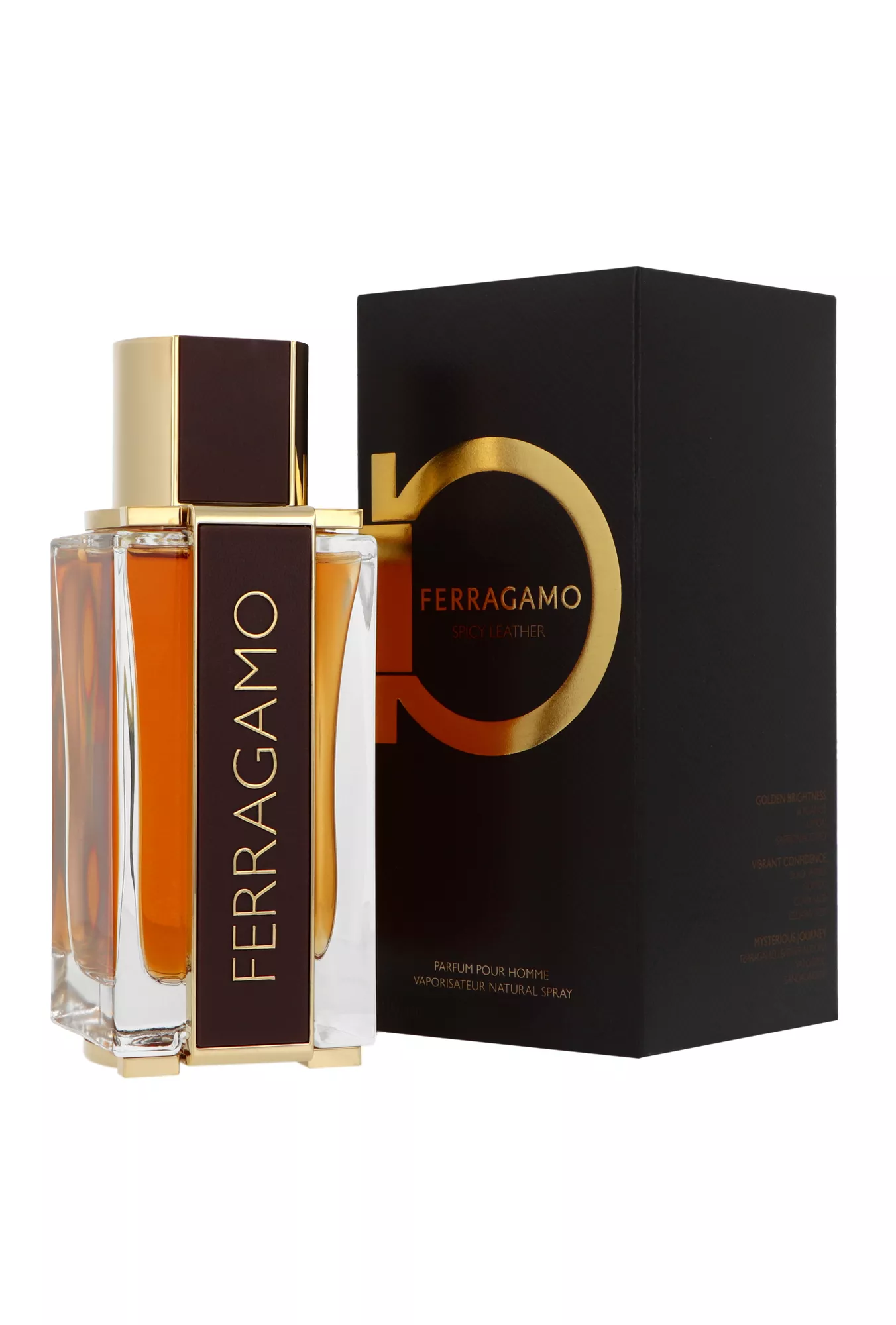 Salvatore Ferragamo Ferragamo Spicy Leather 100ml kvepalai Vyrams EDP