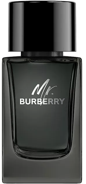 Burberry Mr. Burberry kvepalai Vyrams