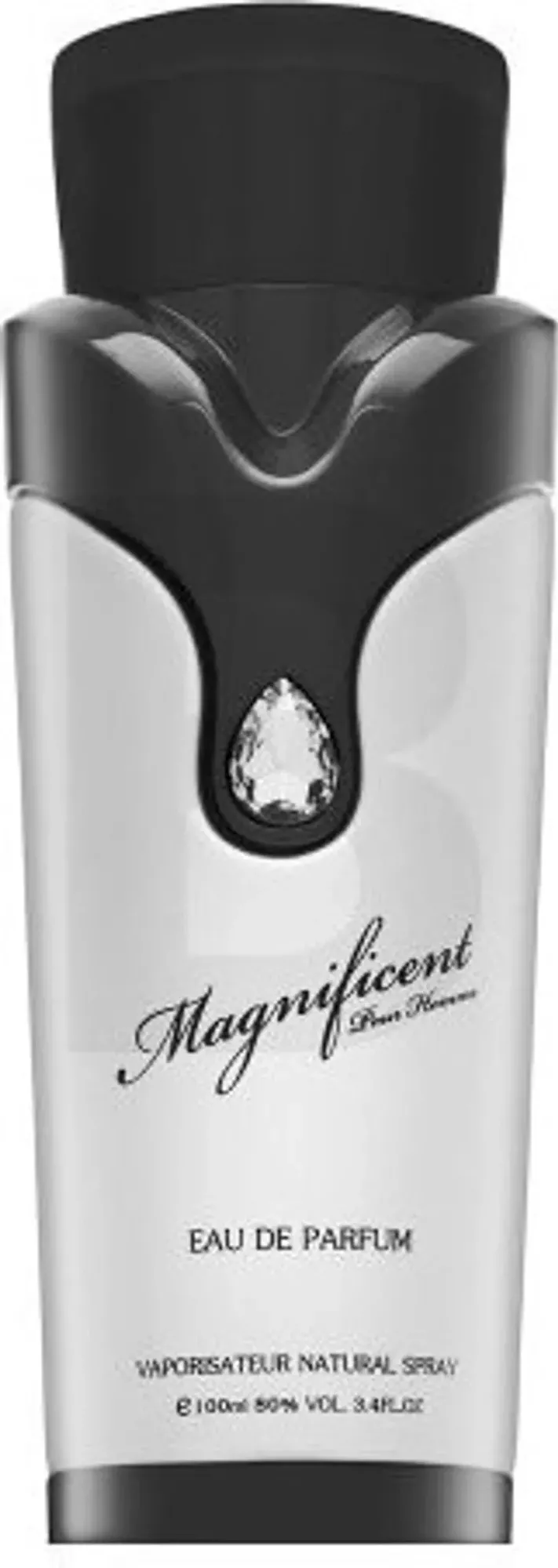 Armaf Magnificent Pour Homme kvepalai Vyrams