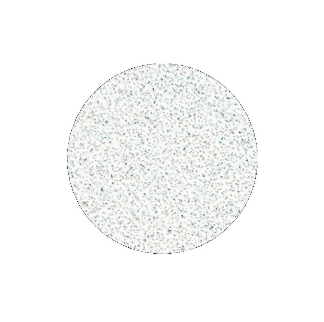 STALEKS Replacement sandpaper for pedicure disc Pro L, grit 80 (White Refill Pads for Pedicure Disc) 50 pcs. Unisex