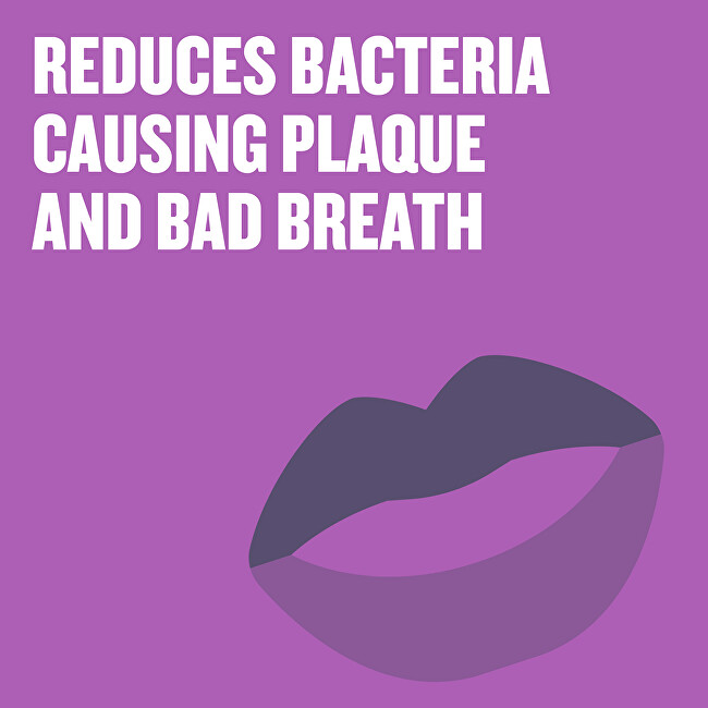 Listerine Mouthwash for complete protection Total Care Teeth Protection 250ml dantų skalavimo skystis