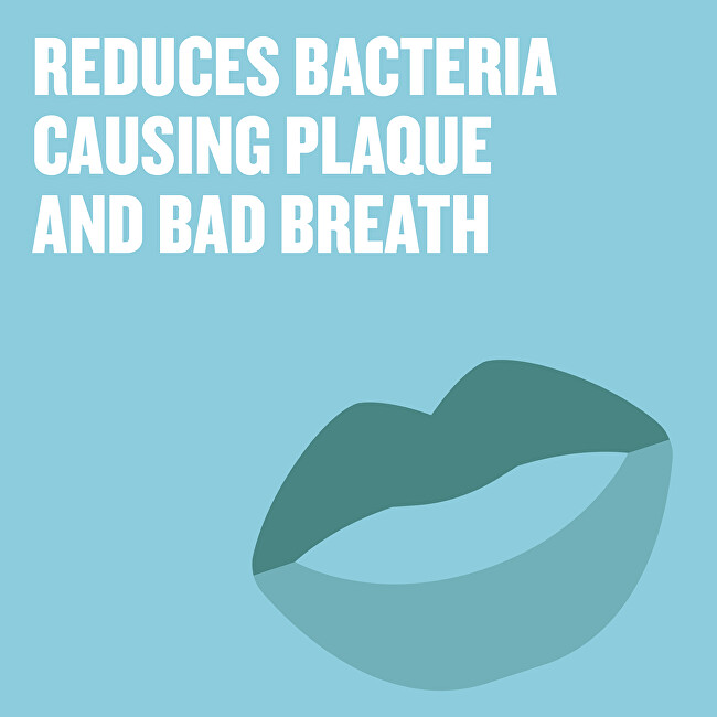 Listerine Alcohol Free Mouthwash Zero - Coolmint Mild Taste 1000ml Dantų emalį stiprinanti priemonė