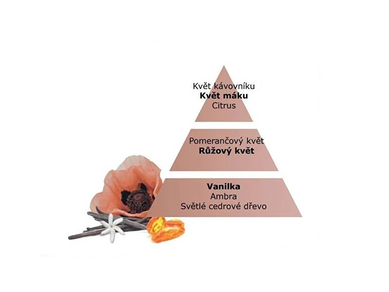 Maison Berger Paris Velvet of Orient diffuser refill (Bouquet Recharge/Refill) 200 ml 200ml Kvapas namams su lazdelėmis