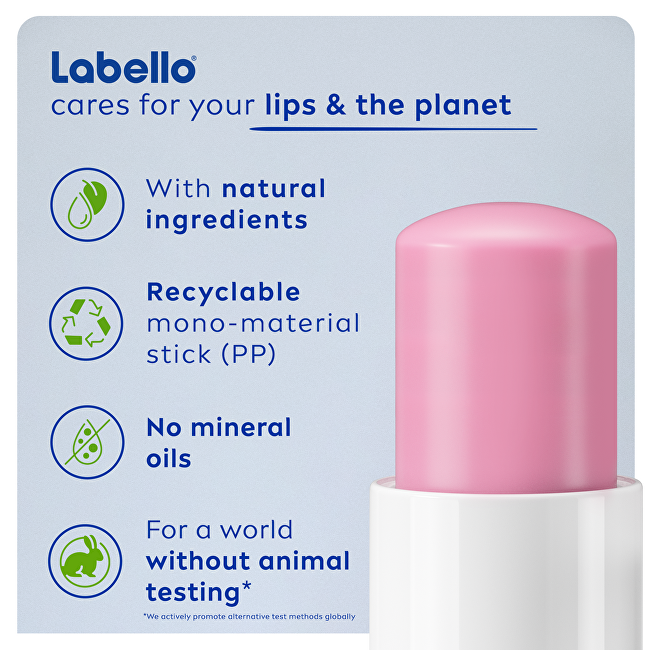 Labello Soft Ros&eacute; Caring Lip Balm 4.8 g lūpų balzamas