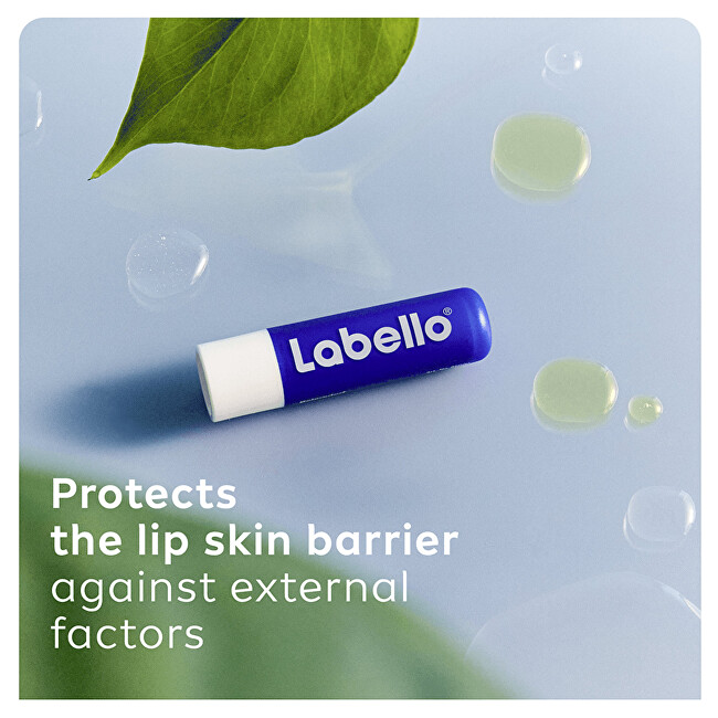 Labello Original Lip Balm 4.8 g lūpų balzamas