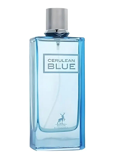 Alhambra Cerulean Blue - EDP 100ml Kvepalai Vyrams EDP
