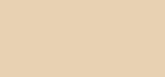 MAC Liquid concealer (Pro Longwear Concealer) 9 ml NC15 9ml korektorius