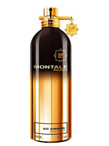 Montale So Amber - EDP 100ml NI&Scaron;INIAI Unisex EDP