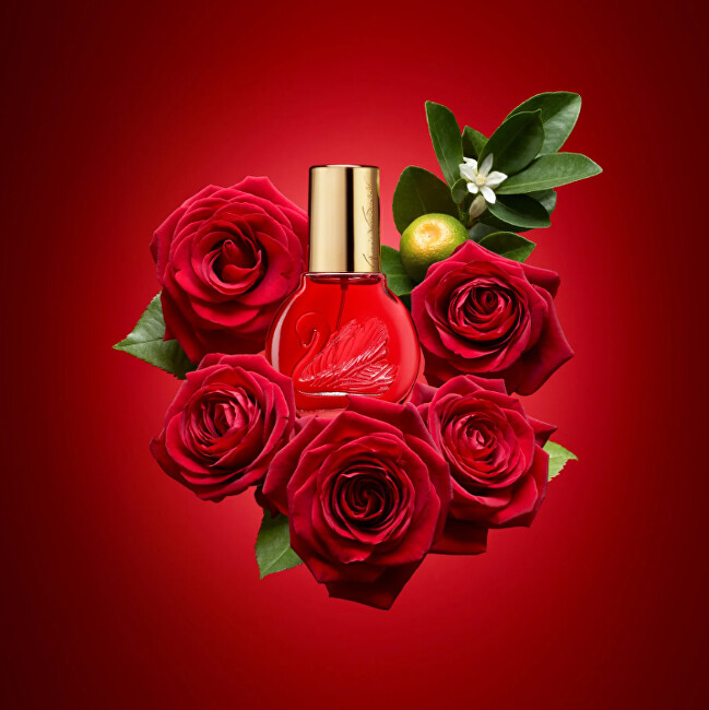 Gloria Vanderbilt Vanderbilt In Red - EDT 100 ml + tělov&eacute; ml&eacute;ko 100 ml 100ml Kvepalai Moterims
