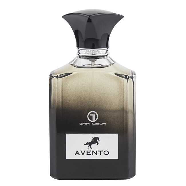 Grandeur Avento - EDP 100ml Kvepalai Vyrams