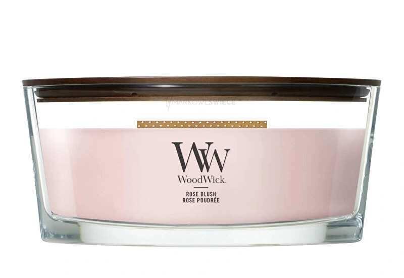 WoodWick Scented candle ship Rose Blush 453.6 g kvepianti žvakė