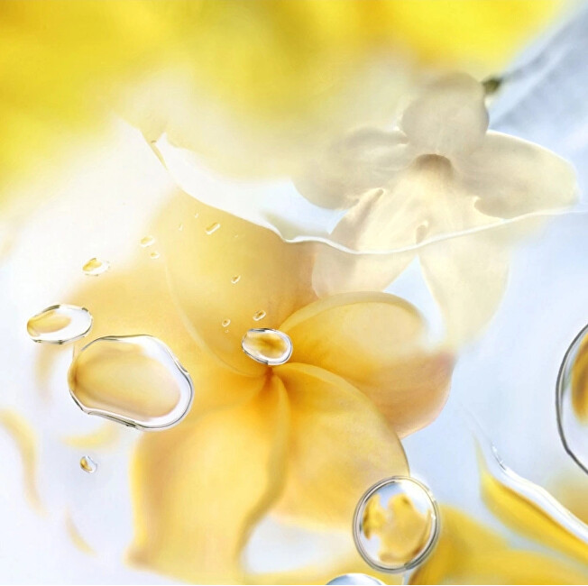 Lancome &Ocirc; Zenith Lanc&ocirc;me EDT 100ml kvepalai Moterims