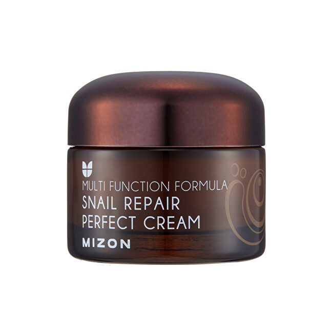 Mizon Face cream with snail secretion filtrate 60% for problematic skin (Snail Repair Perfect Cream) 50 ml 50ml Moterims
