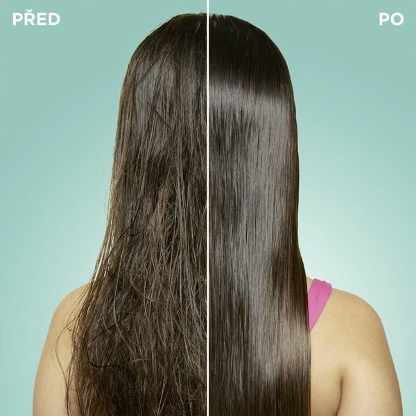 Garnier Ice Kingdom Botanic Therapy Oat Delicacy (Shampoo & Detangler) 400 ml 400ml plaukų balzamas