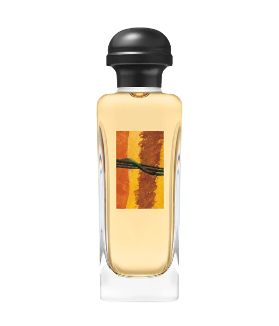 Hermes Rocabar - toaletn&iacute; voda s rozpra&scaron;ovačem 100ml kvepalai Vyrams EDT